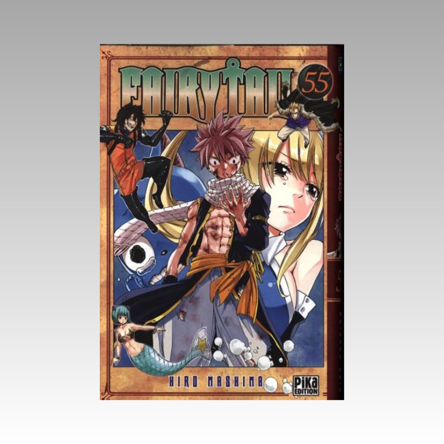 Fairy Tail. Tome 55