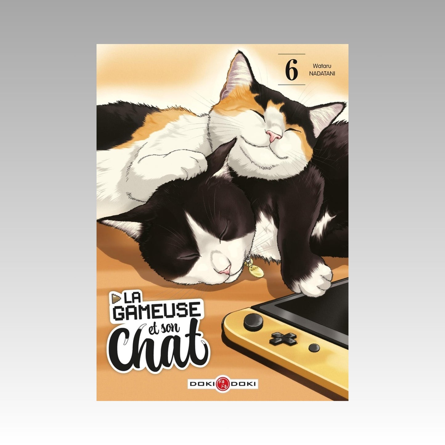 La gameuse et son chat. Tome 6