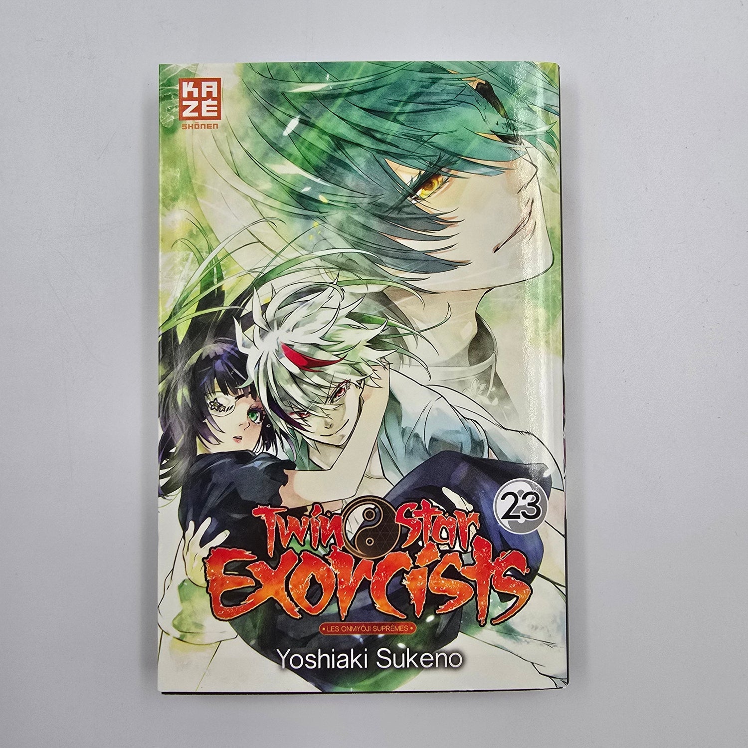 Twin Star Exorcists. Tome 23