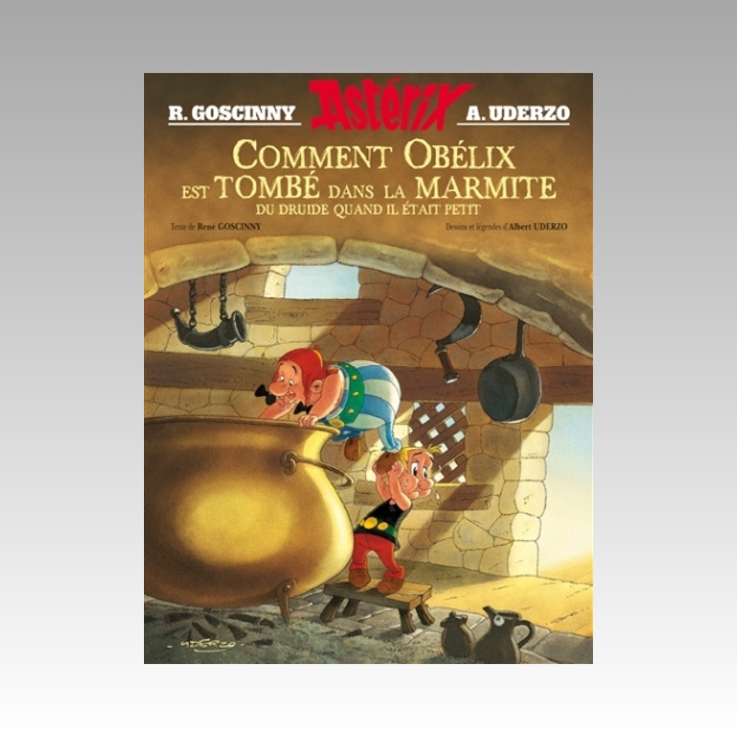 Comment Obélix est tombé dans la marmite du druide quand il était petit