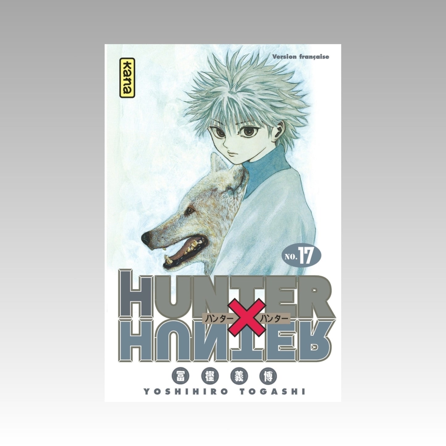 Hunter X Hunter. Tome 17