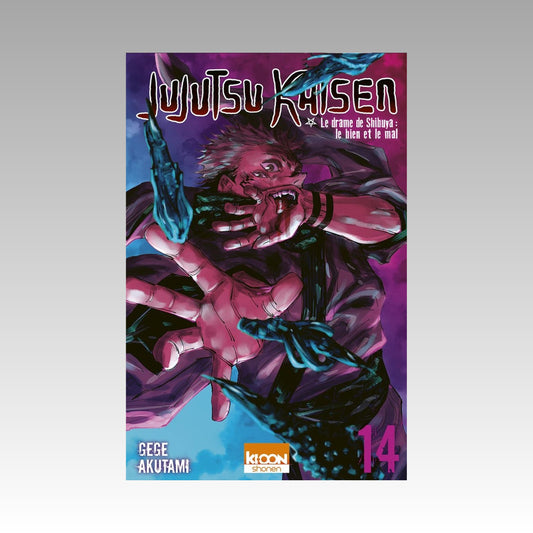 Jujutsu Kaisen. Tome 14