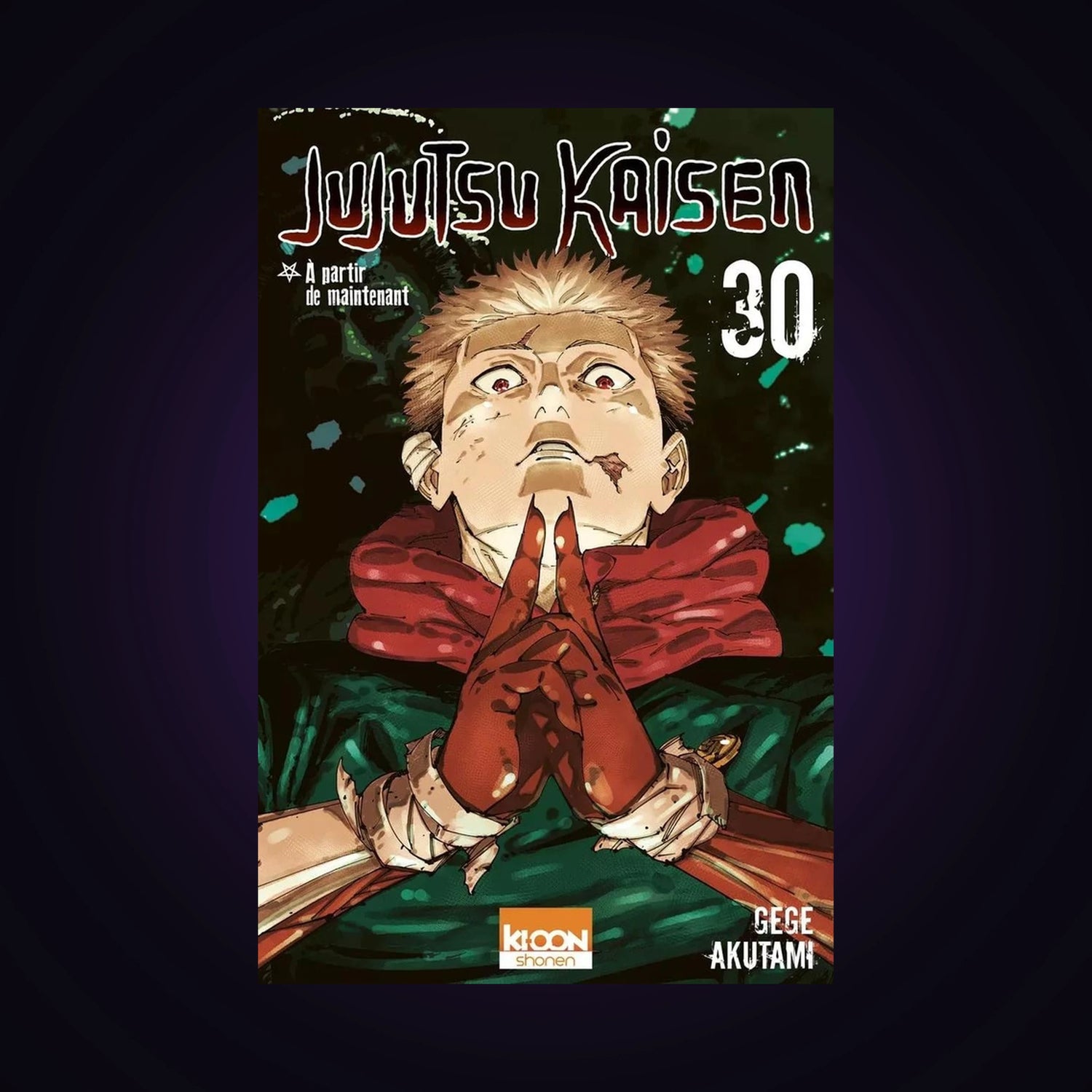 Jujutsu Kaisen. Tome 30