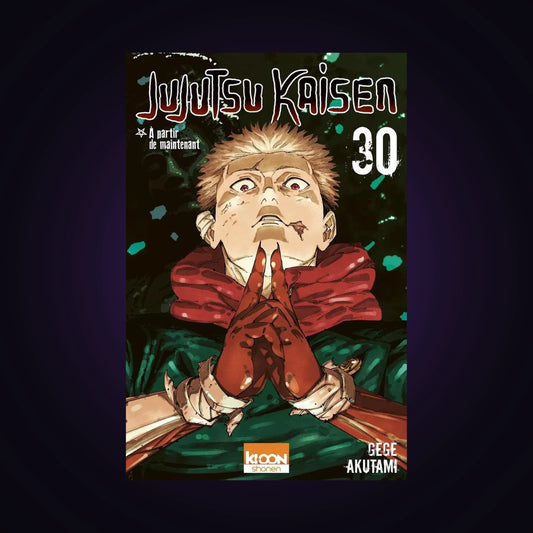 Jujutsu Kaisen. Tome 30