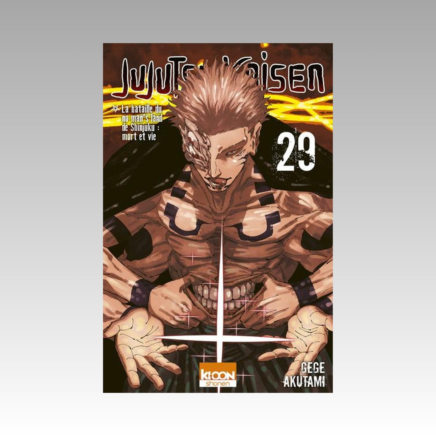 Jujutsu Kaisen. Tome 29