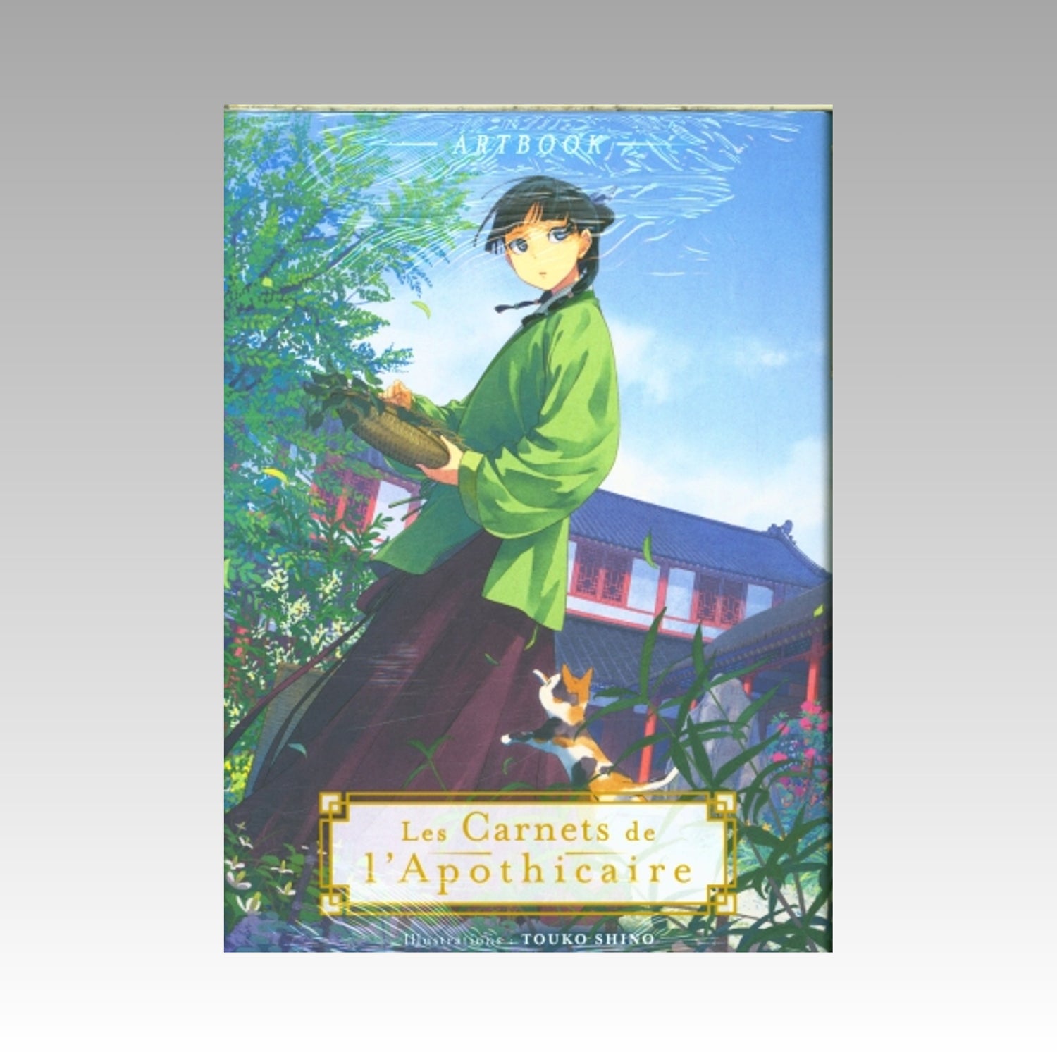 Les carnets de l'apothicaire - Artbook