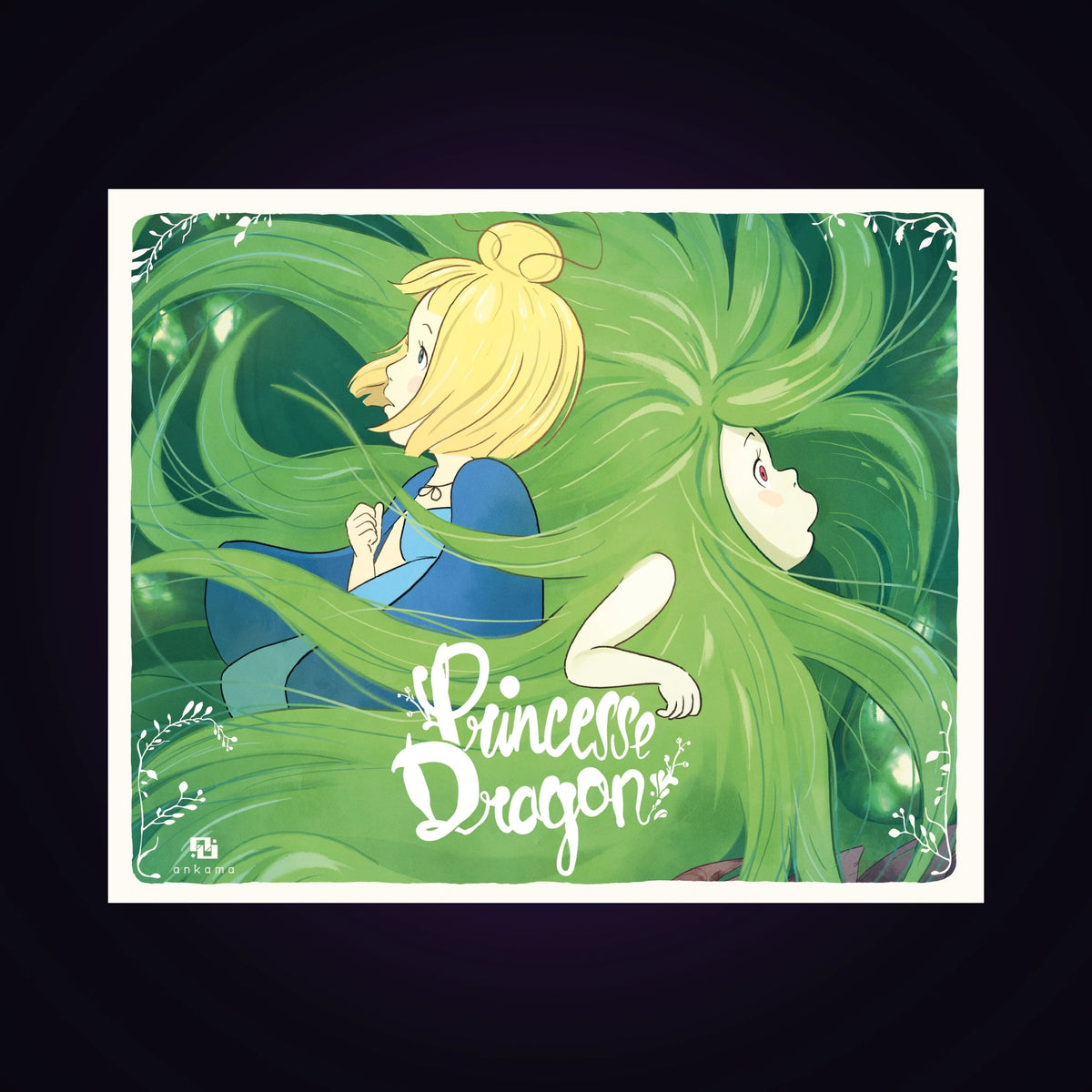 Princesse Dragon - Histoire du film racontée aux petits