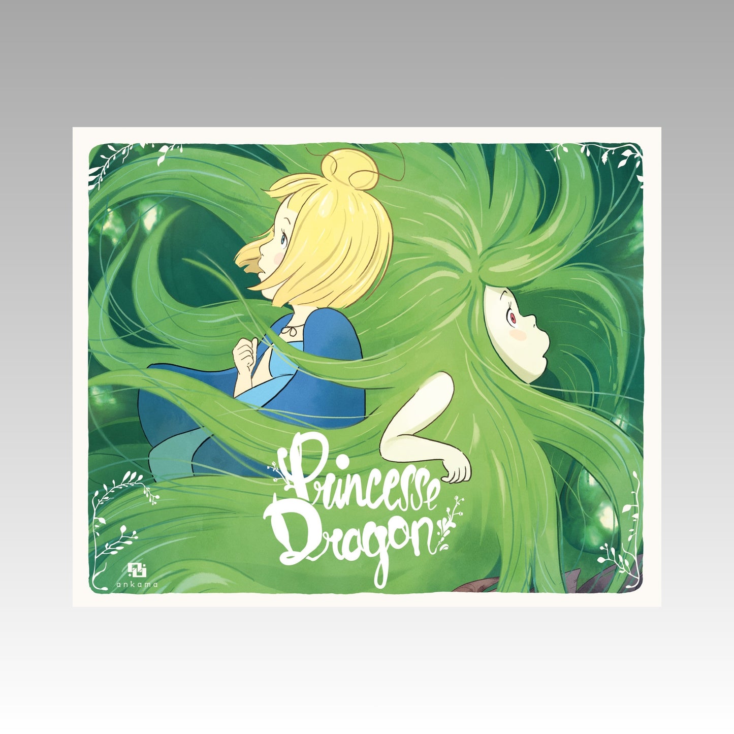 Princesse Dragon - Histoire du film racontée aux petits