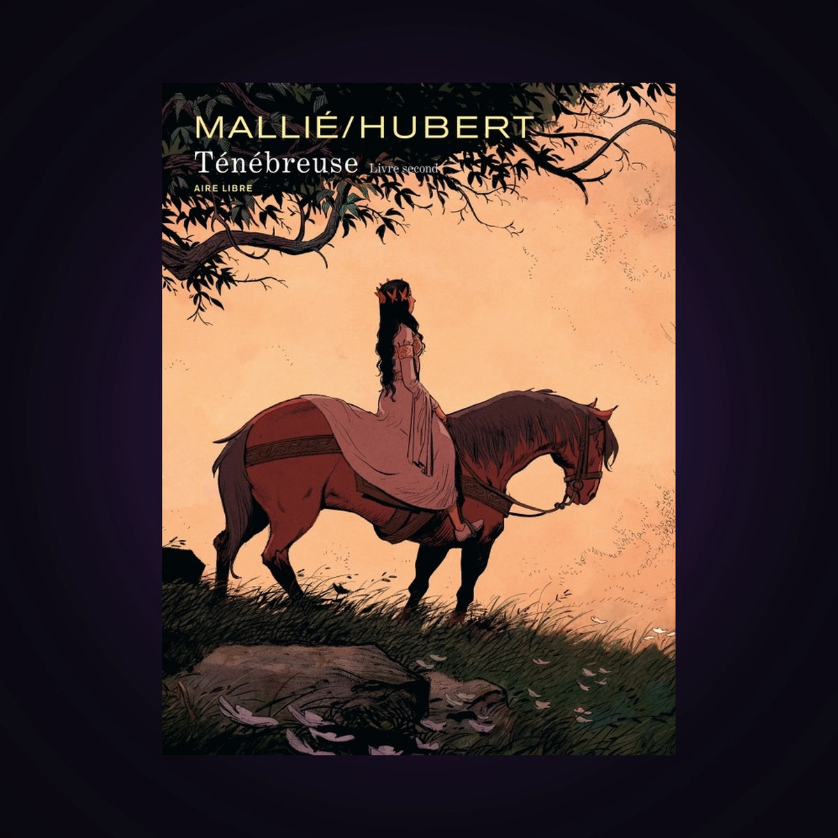 Ténébreuse. Tome 2 - Édition spéciale