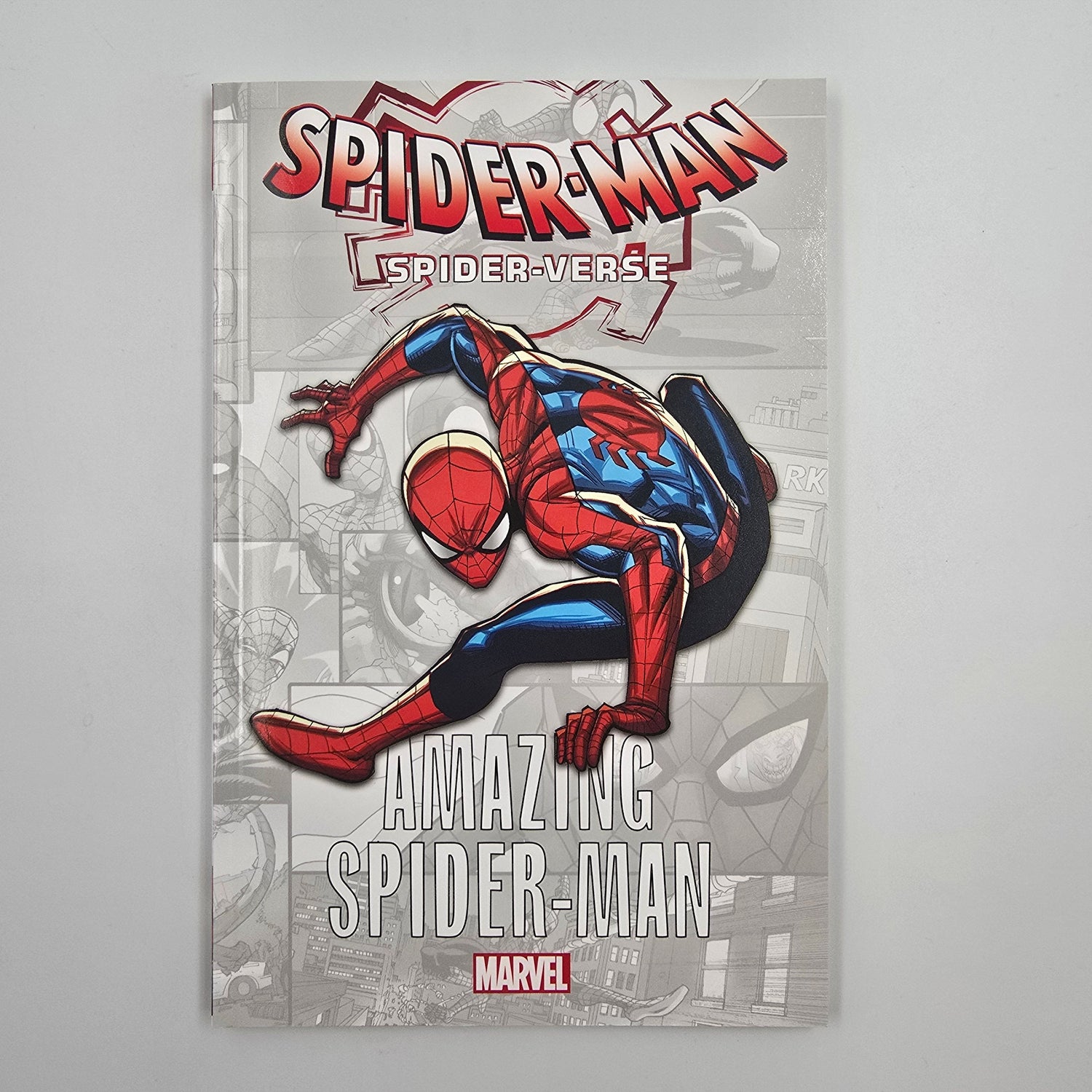 Spider-Verse - Amazing Spider-Man