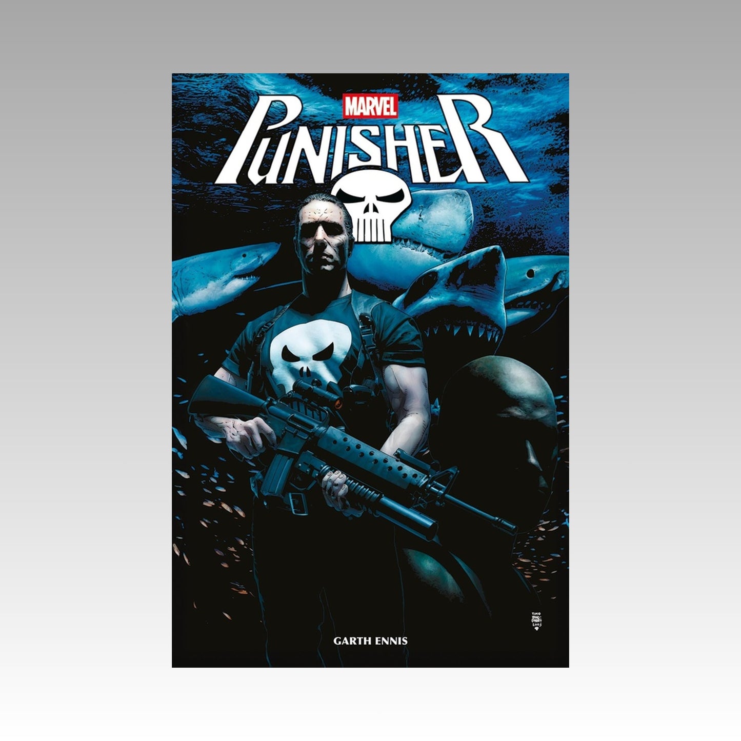 Punisher. Tome 3