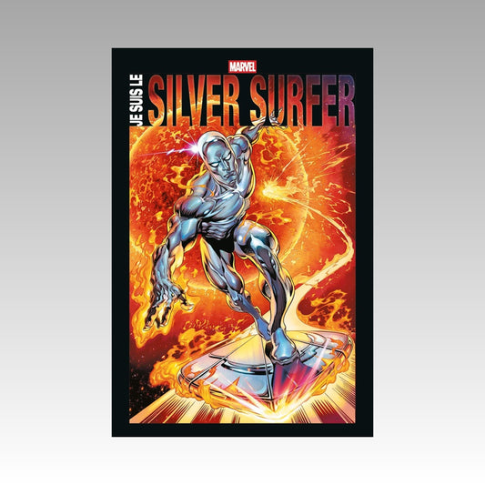 Je suis le Silver Surfer