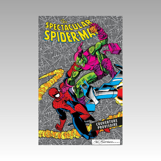 The Spectacular Spider-man par Dematteis et Buscema