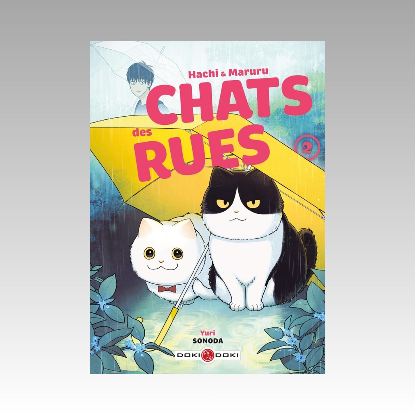 Hachi & Maruru - Chats des rues. Tome 2
