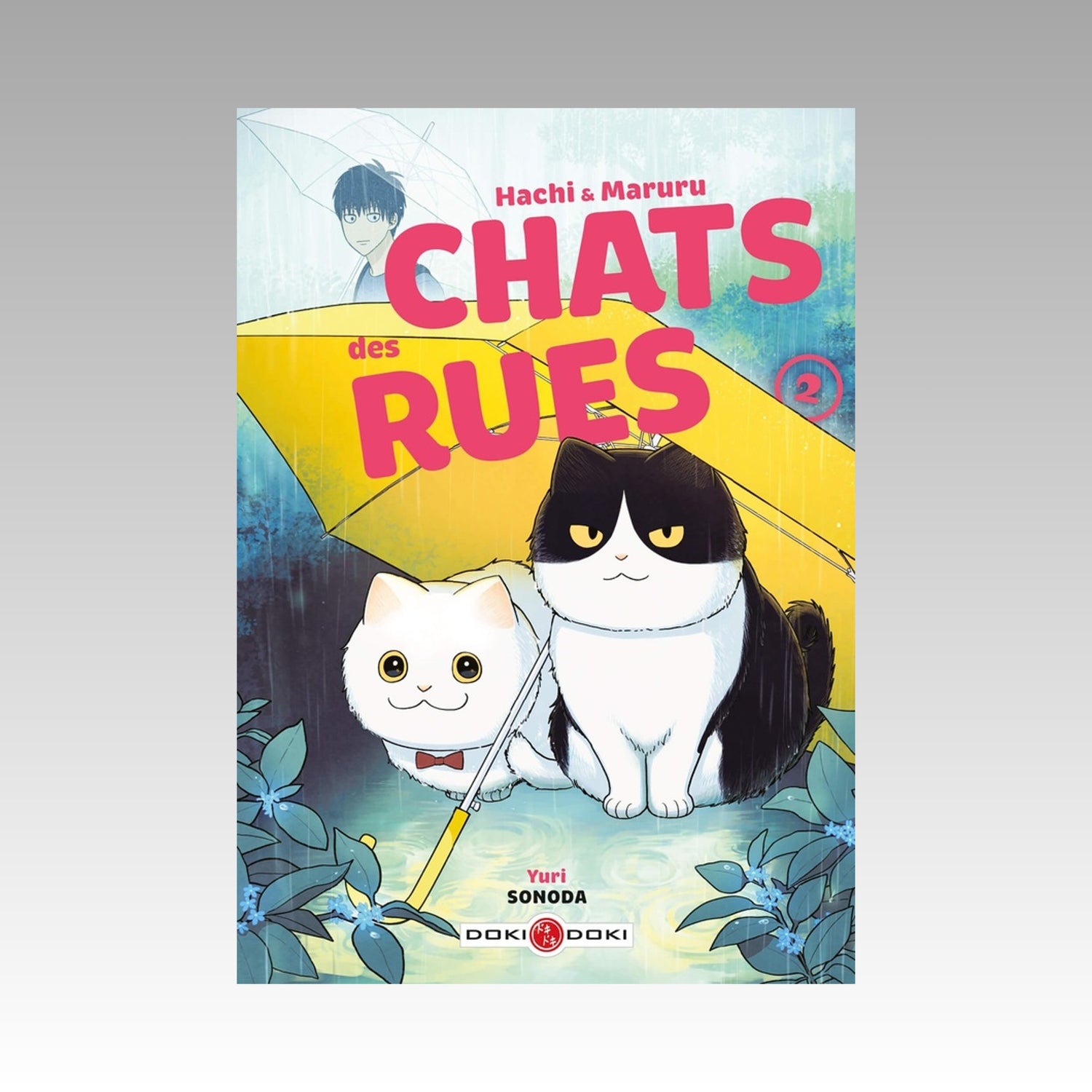 Hachi & Maruru - Chats des rues. Tome 2