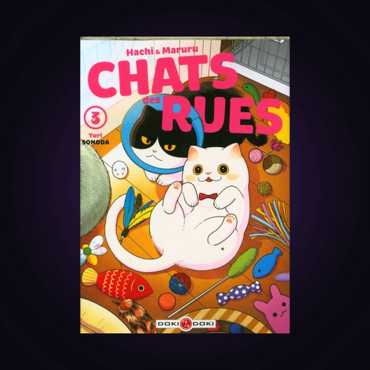 Hachi & Maruru - Chats des rues. Tome 3