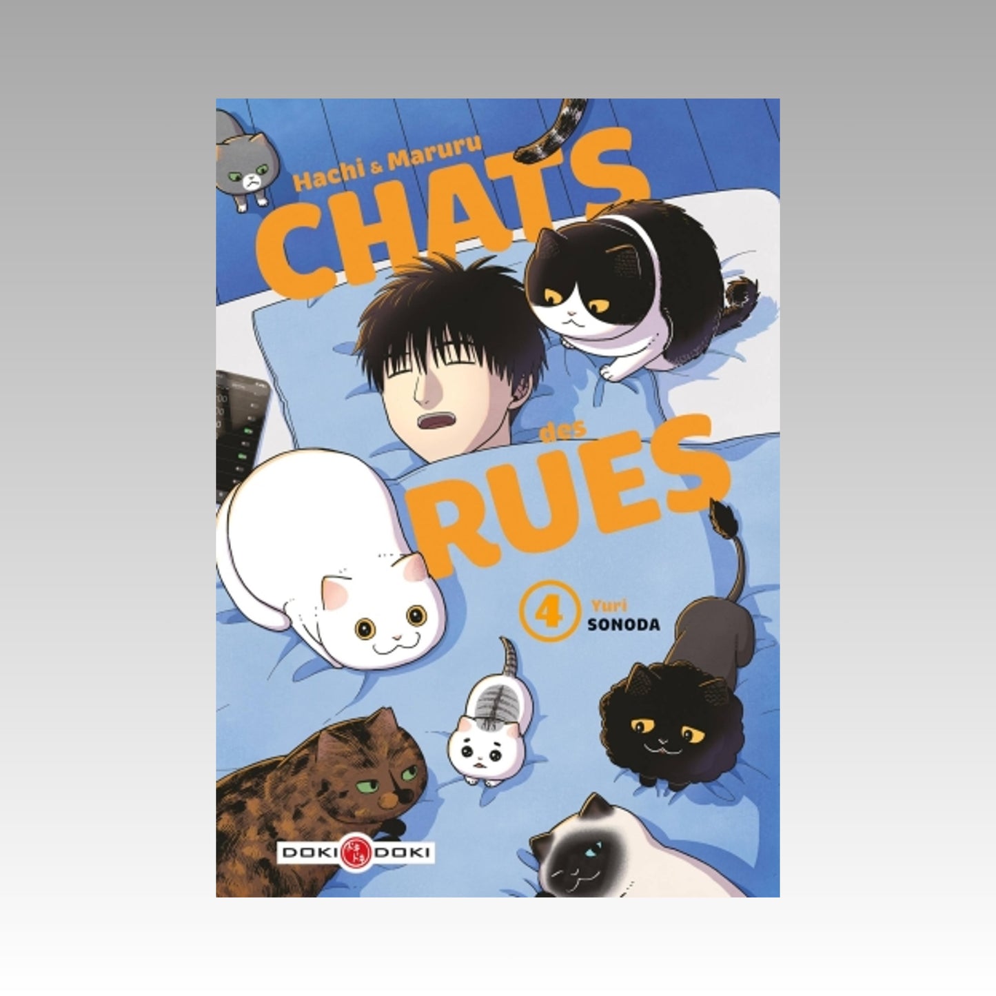 Hachi & Maruru - Chats des rues. Tome 4