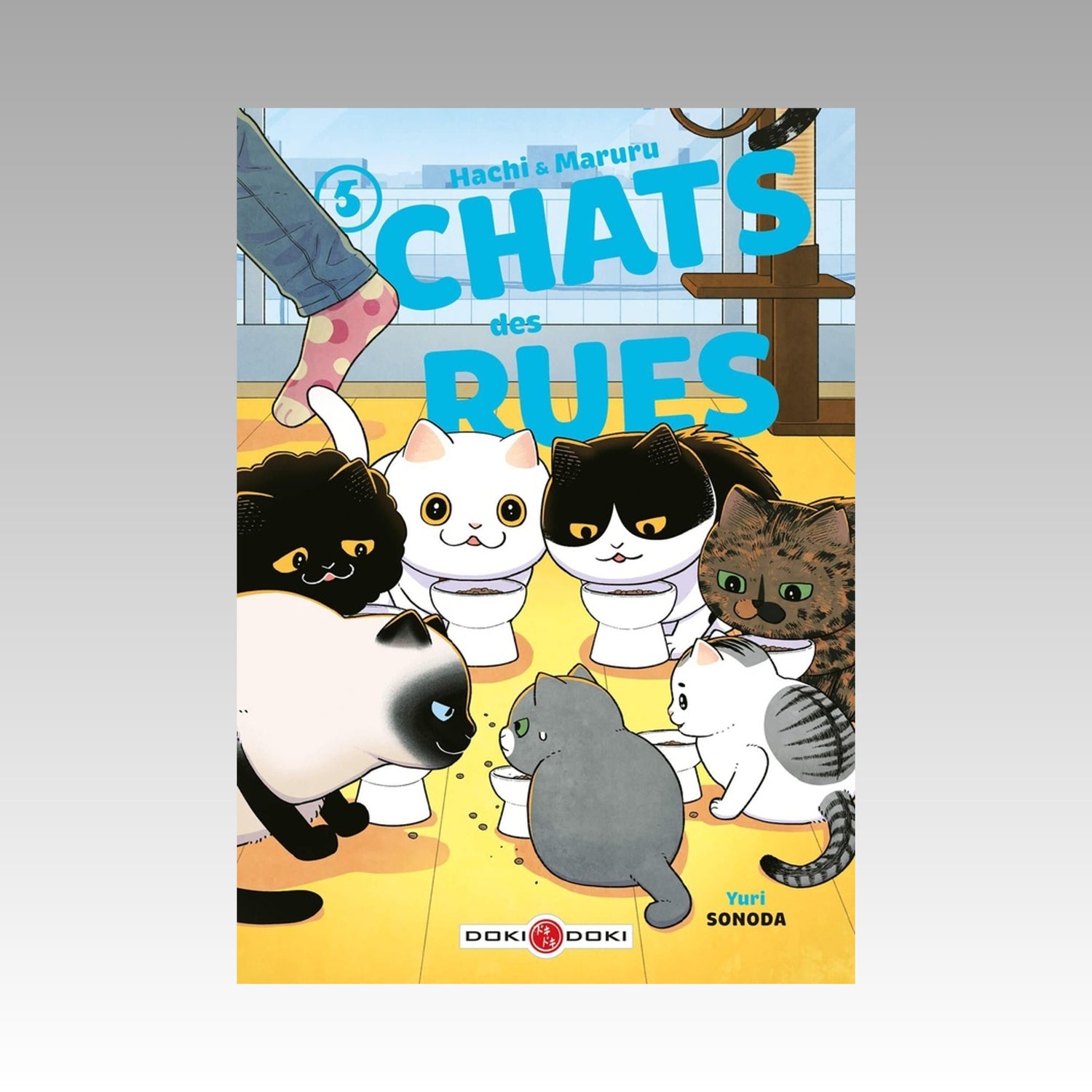 Hachi & Maruru - Chats des rues. Tome 5