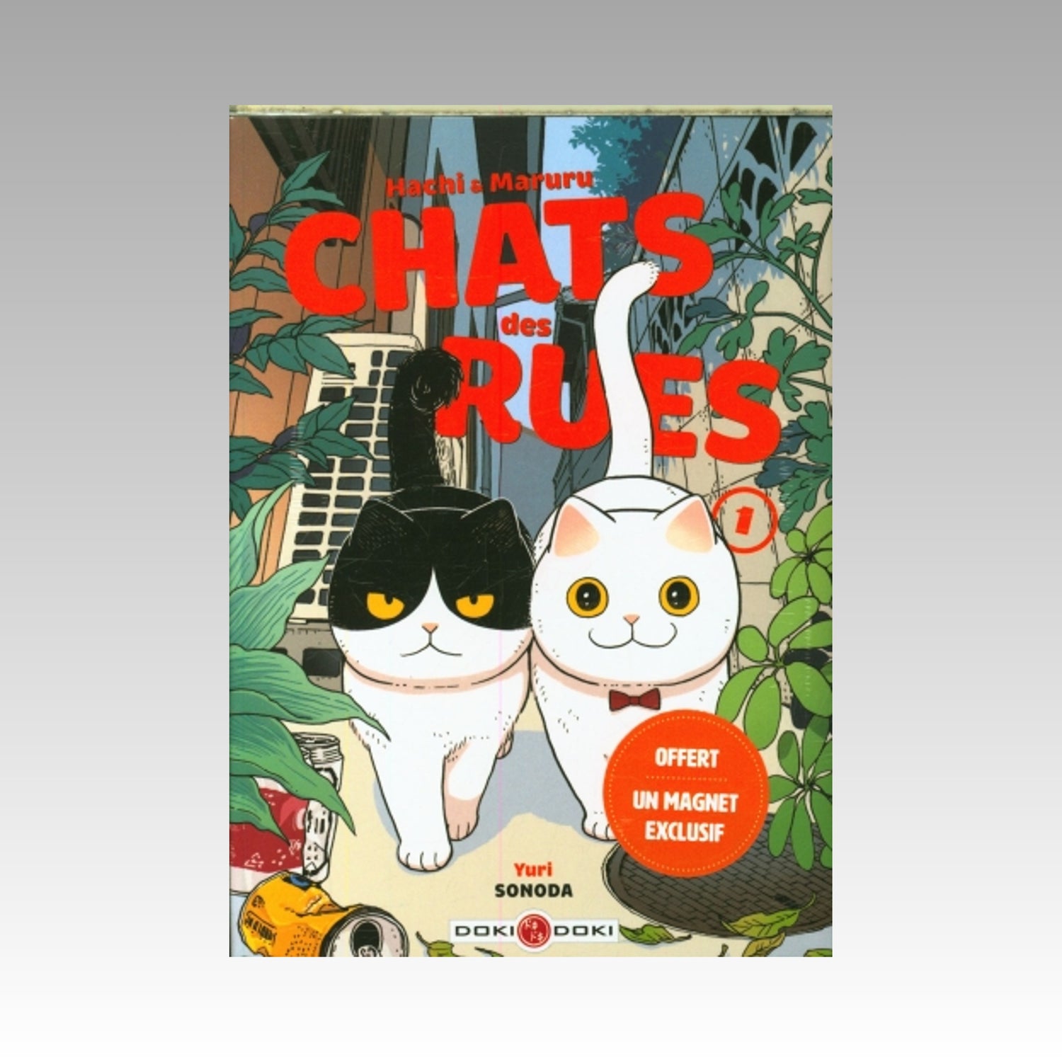 Hachi & Maruru - Chats des rues. Tome 1 + magnet (Édition limitée)