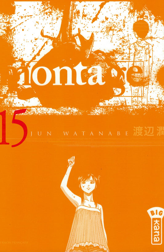 Montage. Tome 15