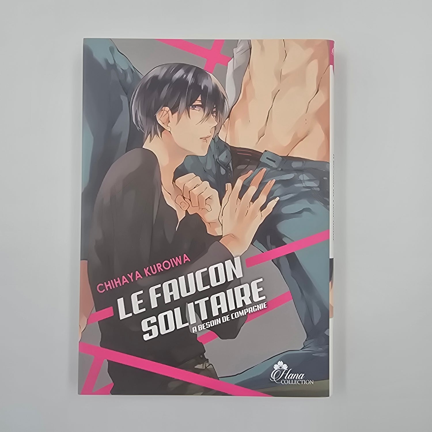 Le Faucon solitaire a besoin de compagnie - Occasion