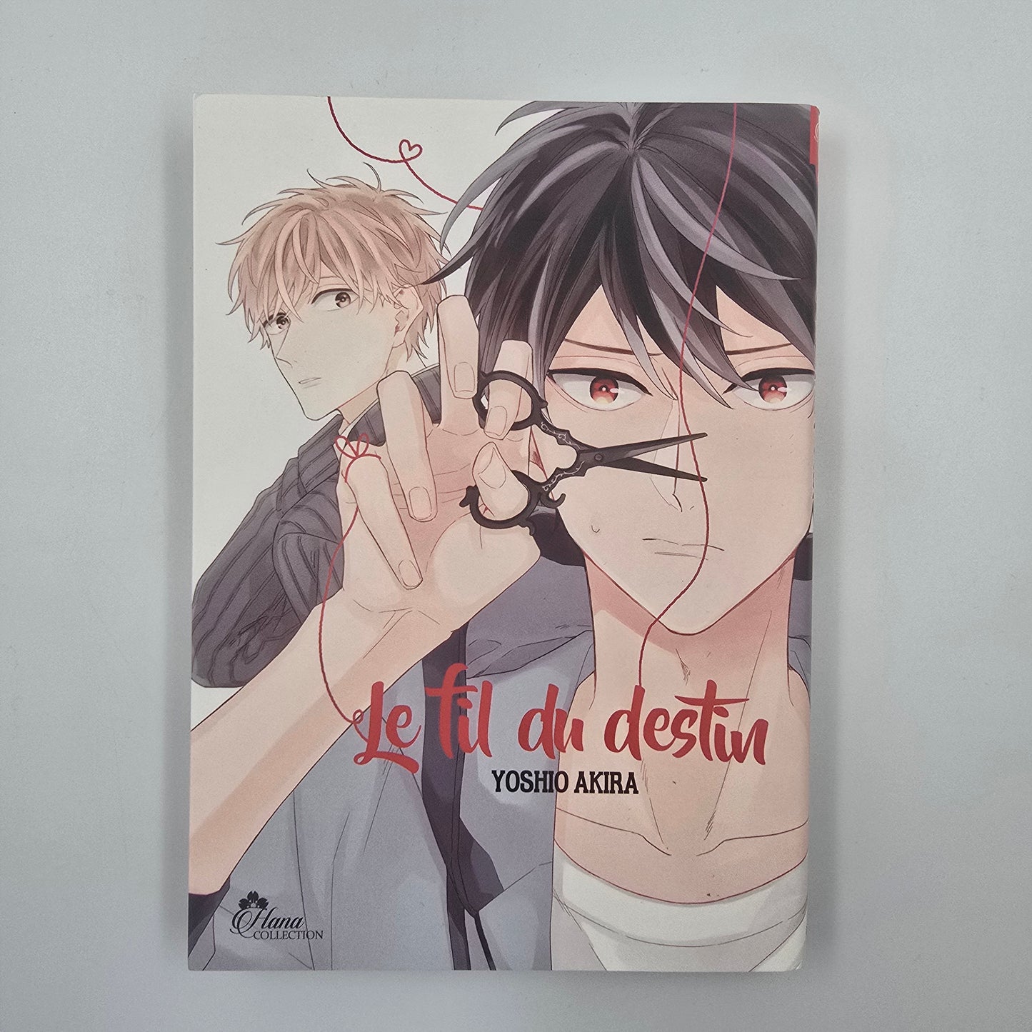 Le fil du destin - Occasion