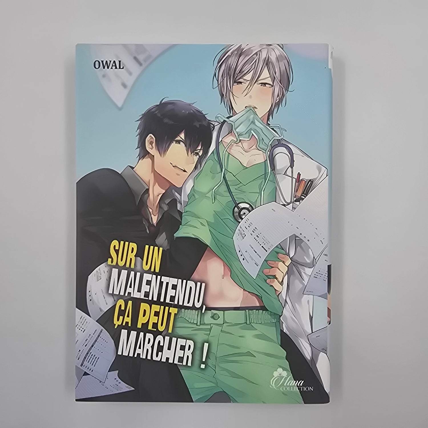 Sur un malentendu ça peut marcher ! - Occasion