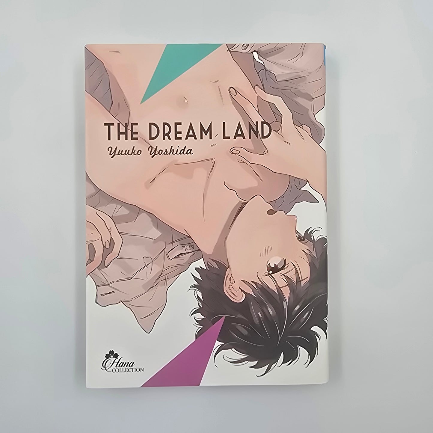 The Dream Land - Occasion