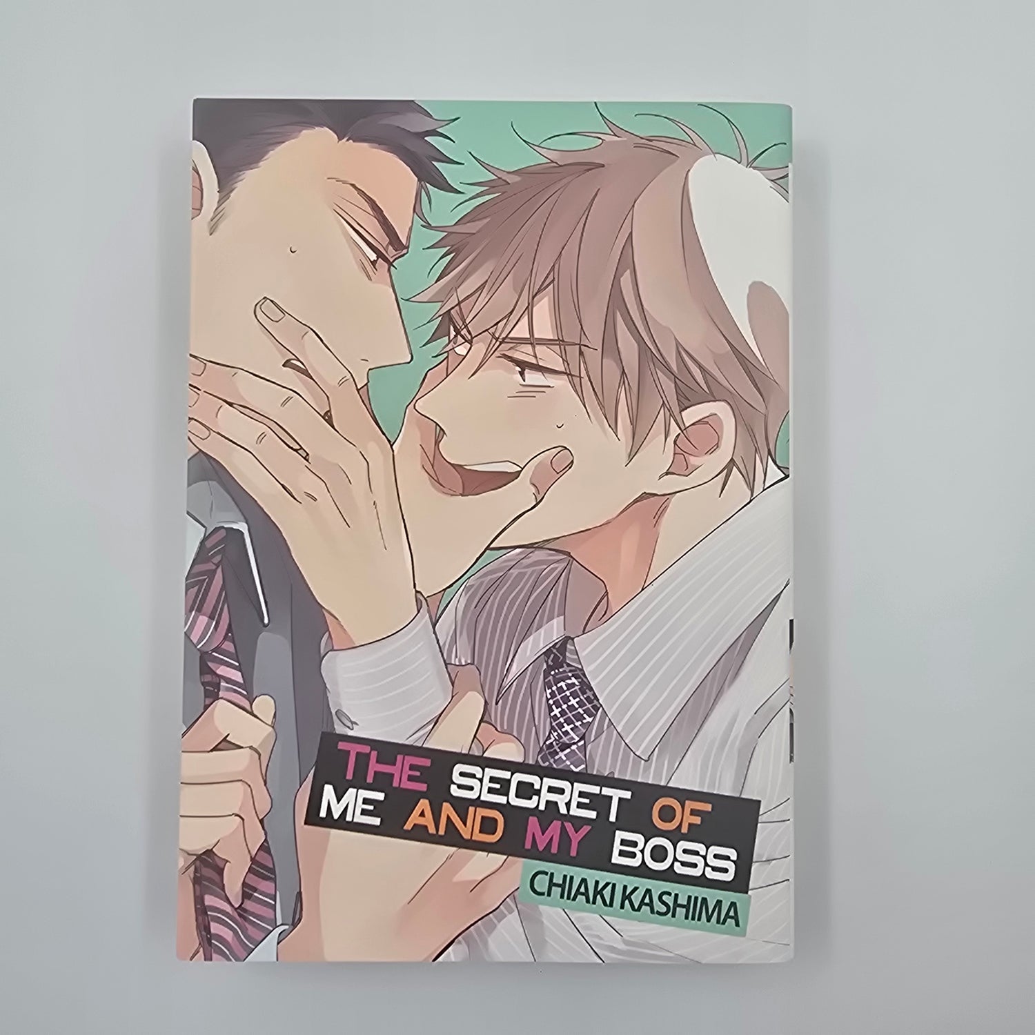 The secret of me and my Boss - Occasion