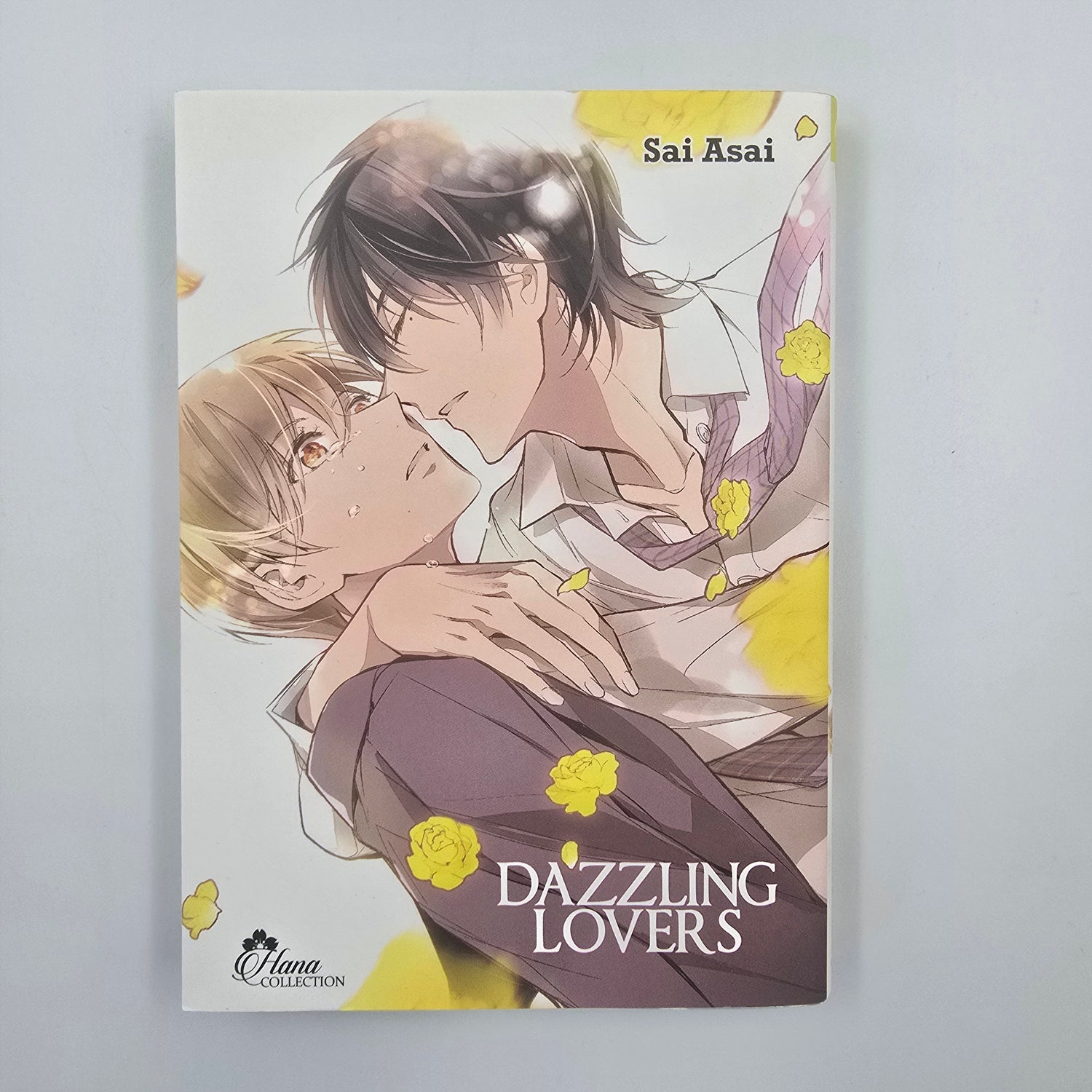 Dazzling Lovers - Occasion
